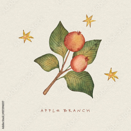 Watercolor cute apple branch illustration with stars. Hand drawn vintage card with summer apple fruit.