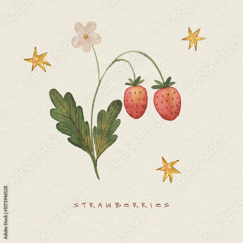 Watercolor cute strawberry illustration with stars. Hand drawn vintage card with summer berries.