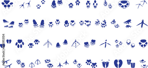 Animals paw prints. Cartoon mammal footprints, black bird foot. 
