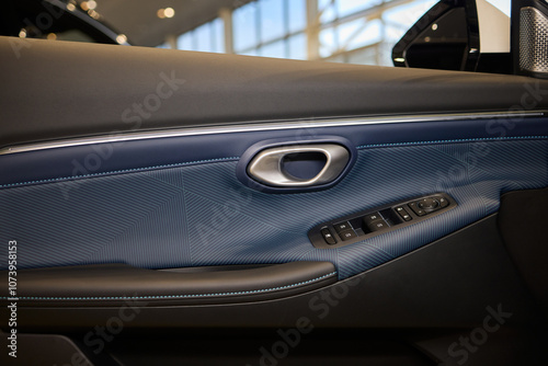 A car door with trim showcasing automotive design details