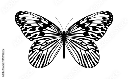 Butterfly Idea idea a vector illustration