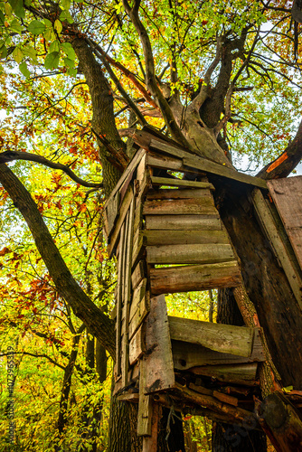 Old huntin cabin in the autumn forest standing on tree, mystery place in the forest.Hunting season photo