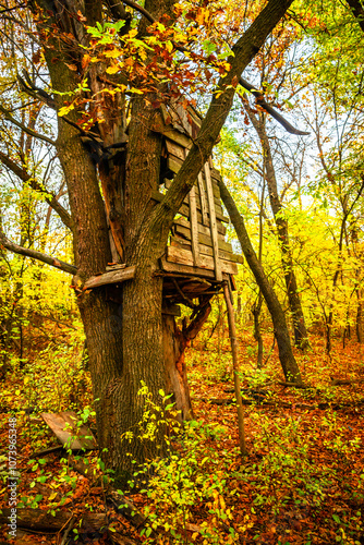 Old huntin cabin in the autumn forest standing on tree, mystery place in the forest.Hunting season photo