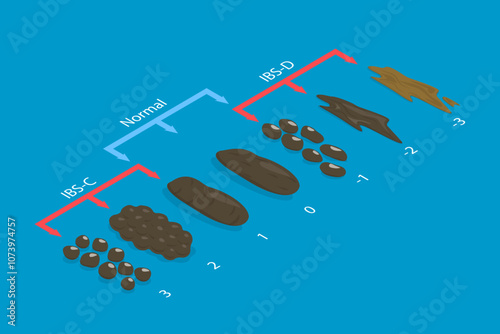 3D Isometric Flat Vector Illustration of IBS Stages, Various Types of Human Feces