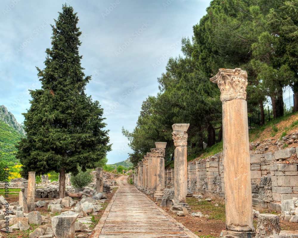 Fototapeta premium Scenic view of an ancient stone pathway lined with Corinthian columns and surrounded by trees in the historic ruins of Ephesus, Turkey. 