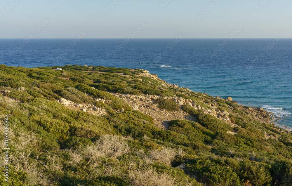 Beautiful coastal landscape at sunset with lush greenery and gentle waves along the shoreline. Beautiful coastal landscape at sunset with lush greenery and gentle waves along the shoreline.