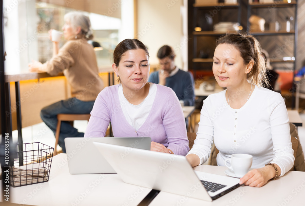 Two young women sitting at table, using laptop and enjoing cup of tea in coffee house. Modern female lifestyle concept Two young women sitting at table, using laptop and enjoing cup of tea in coffee house. Modern female lifestyle concept