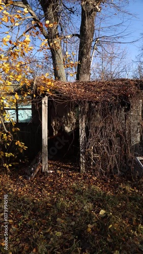 In the heart of autumn, vibrant leaves fall gracefully near a rustic and charming shelter