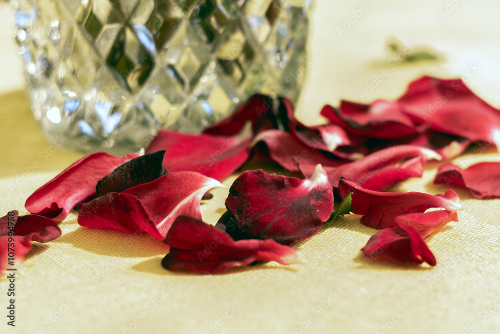 Fallen red rose petals next to the vase on the table. Real photo. Adobe RGB color profile. Fallen red rose petals next to the vase on the table. Real photo. Adobe RGB color profile.
