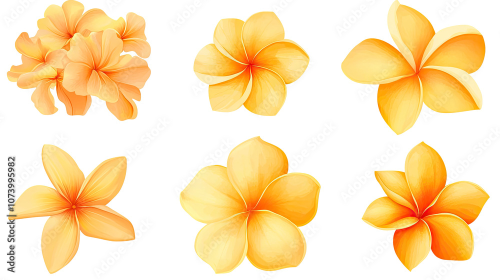Fototapeta premium Plumeria Flower Blossoms on Transparent Background Generative AI
