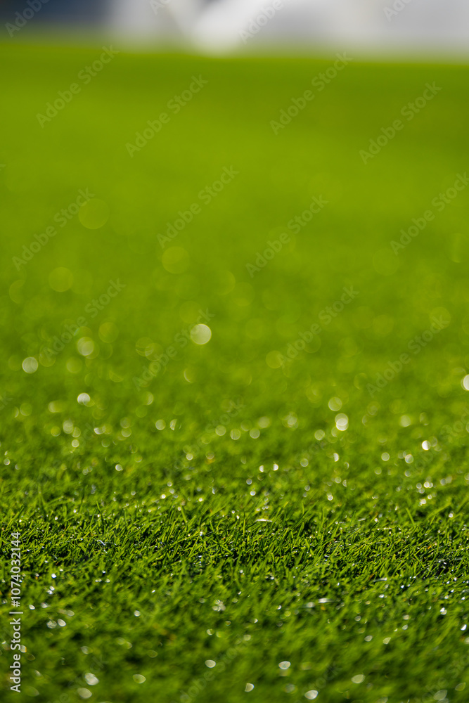 grass - football pitch - height and density - watering