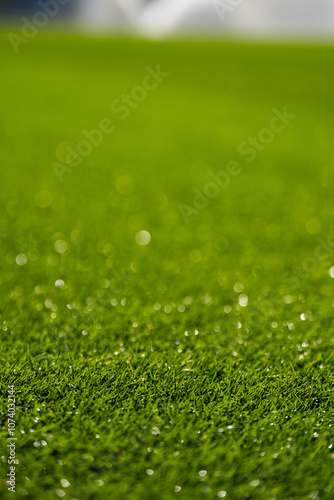 Obraz na płótnie grass - football pitch - height and density - watering w salonie