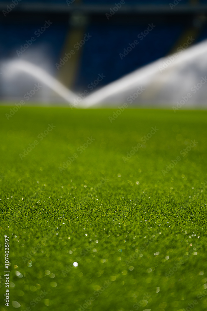 sprinkler | watering the grass on the football pitch - special grass for playing football