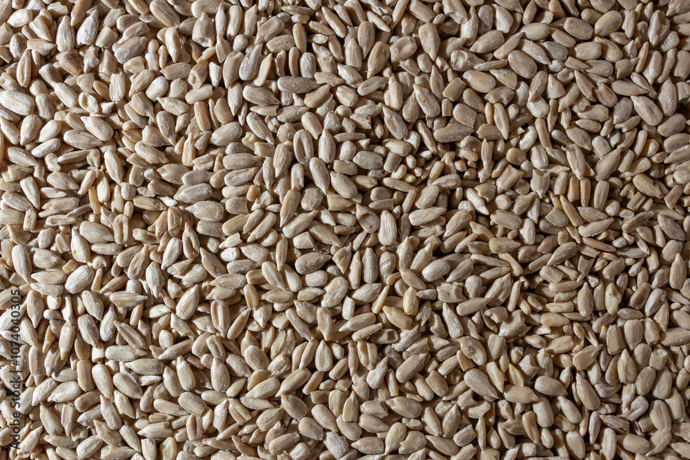 Peeled Sunflower Seeds Background: A Culinary Canvas of Shell-free Sunflower Seeds, Creating a Lively and Textured Background for Gourmet Cooking - Top View, Flat Lay Peeled Sunflower Seeds Background: A Culinary Canvas of Shell-free Sunflower Seeds, Creating a Lively and Textured Background for Gourmet Cooking - Top View, Flat Lay