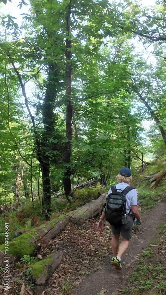 Woman hiking with a dog through dense forests along the east coast of Corsica on a narrow trail Woman hiking with a dog through dense forests along the east coast of Corsica on a narrow trail