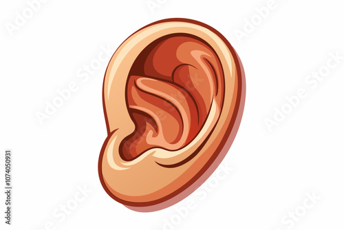 Human ear isolated on white vector art illustration