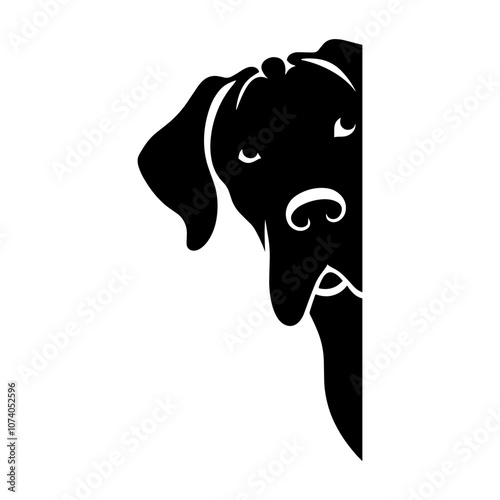 Great Dane Dog Peeking