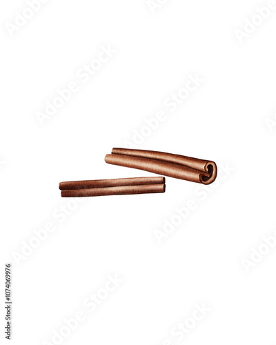 Isolated illustration of a winter spice for mulled wine cinnamon
