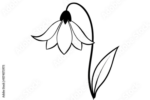 bluebell vector silhouette with white background