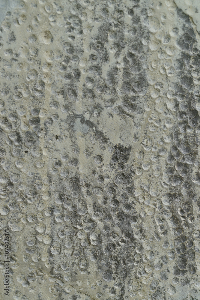 Texture or background of cement wall, abstract gray concrete texture background for showing, concrete texture, plaster, stucco wall. Texture or background of cement wall, abstract gray concrete texture background for showing, concrete texture, plaster, stucco wall.