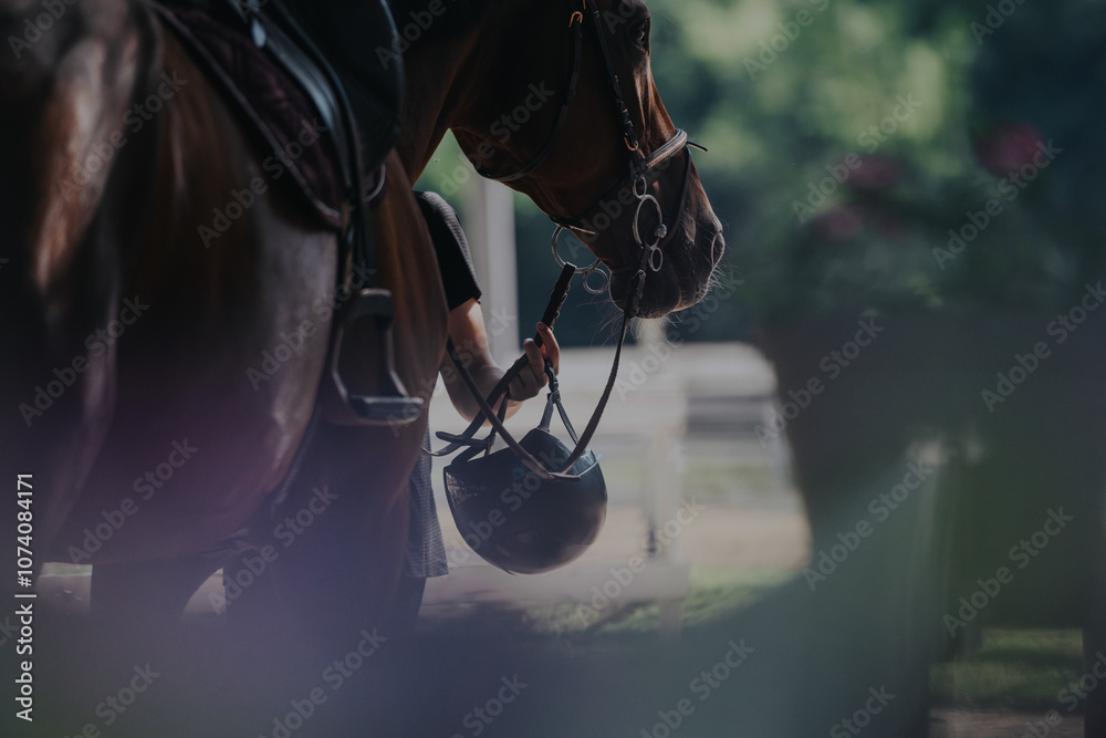 Obraz premium A close-up image of a horse and rider, focusing on the preparation for an equestrian session. The natural setting evokes a sense of tranquility and connection between human and animal.