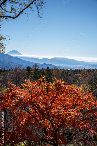 山梨県清里高原天女山から望む初冠雪の富士山と紅葉