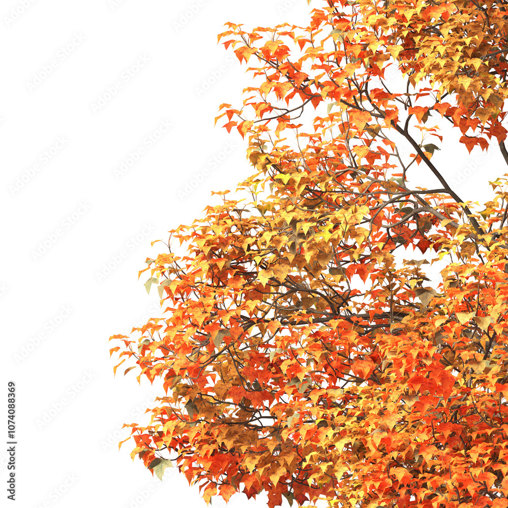 Autumn tree branch PNG. Autumn tree branch isolated on transparent background. Branch of autumn leaves on transparent background. Autumn Tree branch with yellow, orange, Brown leaves. Corner tree. Autumn tree branch PNG. Autumn tree branch isolated on transparent background. Branch of autumn leaves on transparent background. Autumn Tree branch with yellow, orange, Brown leaves. Corner tree.