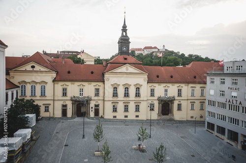 panorama of the city of Brno and the cathedral