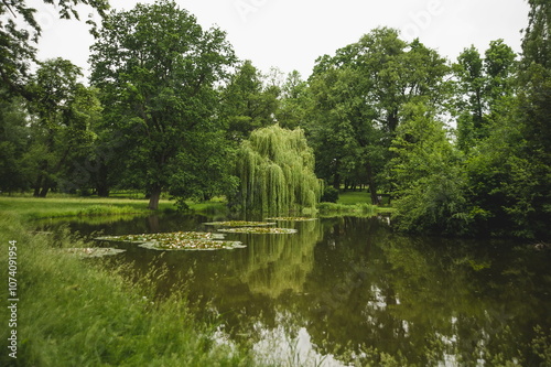 lake in the park