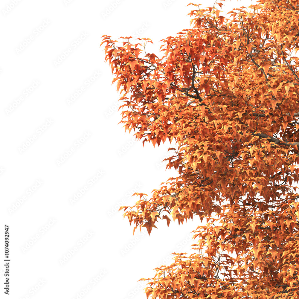 Autumn tree branch PNG. Autumn tree branch isolated on transparent background. Branch of autumn leaves on transparent background. Autumn Tree branch with yellow, orange, Brown leaves. Corner tree. Autumn tree branch PNG. Autumn tree branch isolated on transparent background. Branch of autumn leaves on transparent background. Autumn Tree branch with yellow, orange, Brown leaves. Corner tree.