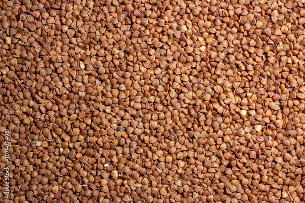 Dry Uncooked Brown Buckwheat Groats Background - Top View, Flat Lay. Raw Large Buckwheat Grains. Russian, Ukrainian and Belarusian Culture Dry Uncooked Brown Buckwheat Groats Background - Top View, Flat Lay. Raw Large Buckwheat Grains. Russian, Ukrainian and Belarusian Culture