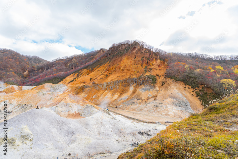 Obraz premium The landscape of a volcano, Jigokudani or Hell Valley is a spectacular valley and a main hot spring waters source of Noboribetsu Onsen Town: Noboribetsu, Hokkaido, Japan, autumn leaves.