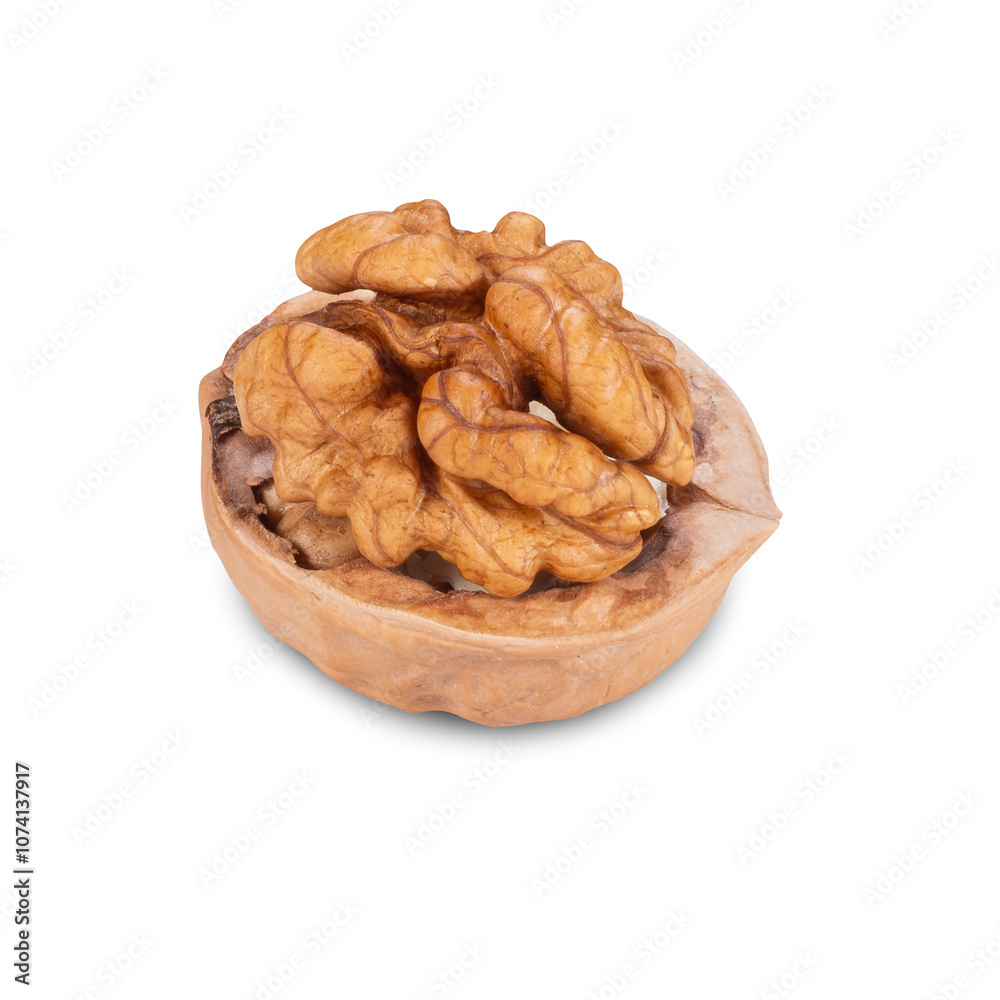 Walnut Organic Healthy Nut on White Background. File With Clipping Path. Walnut Organic Healthy Nut on White Background. File With Clipping Path.