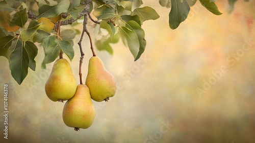 Succulent pears dangle tantalizingly from a gnarled tree branch, their skin catching dappled sunlight, A dreamy bokeh effect blurs the background into a soft tapestry of muted earth tones and verdant photo