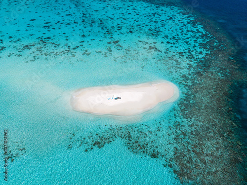 Sandbank experience with picnic in Gaafu Dhaalu Atoll Maguhdhuvaa Island, Maldives photo