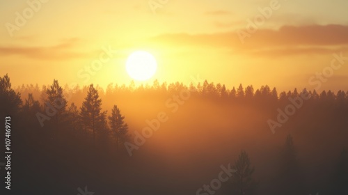 Golden sunlight breaks through the mist, casting a warm glow over a serene forest embracing the early morning