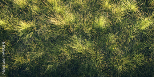 A closeup photo of green grass with a natural texture and soft light.