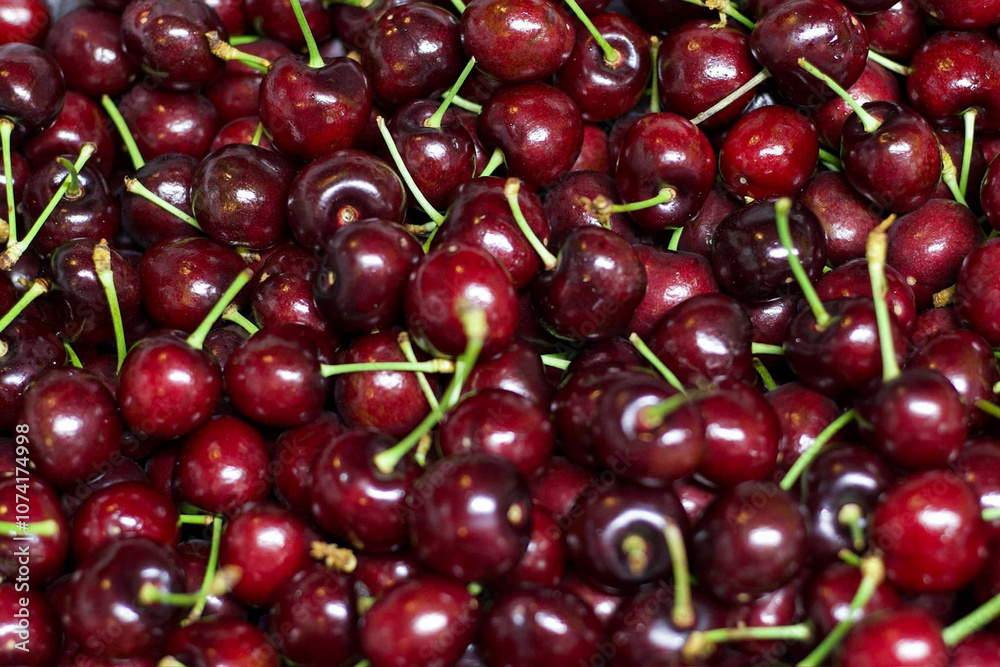 Close-Up of Fresh Juicy Red Cherries with Stems Close-Up of Fresh Juicy Red Cherries with Stems