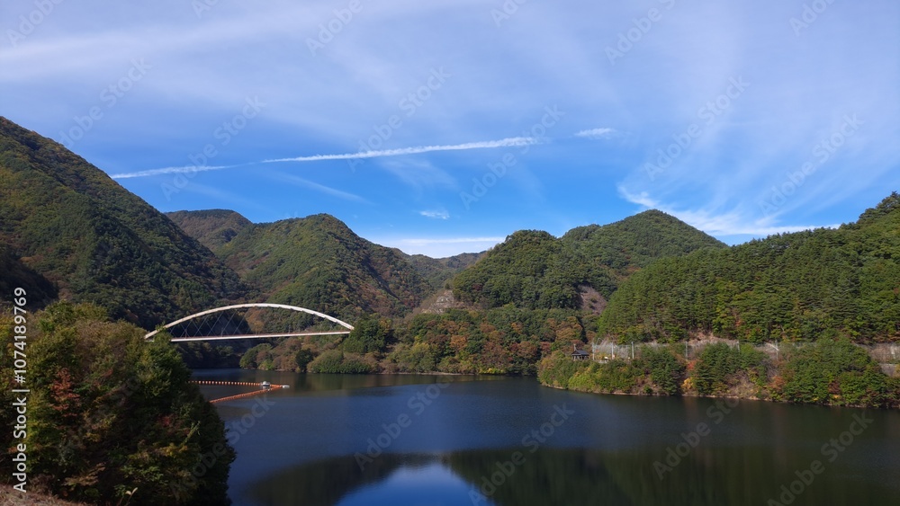 Fototapeta premium ダム湖と白い橋
