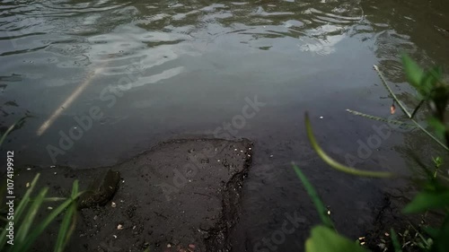 ripples on the lake water