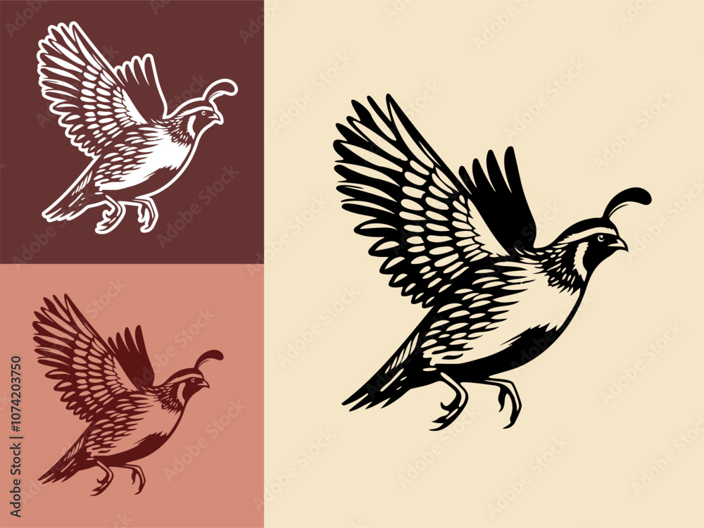 Fototapeta premium Gambel Quail bird hand drawn vector illustration