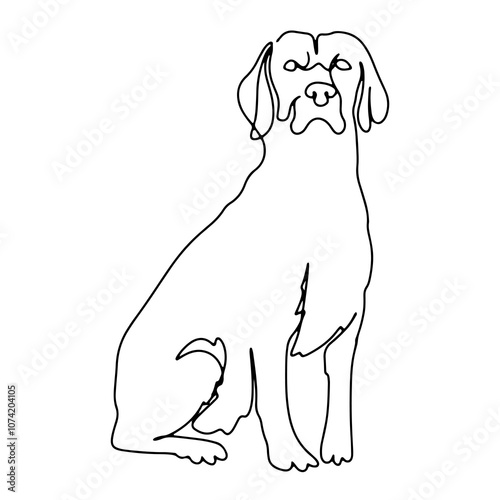 Pet Animal Vector Line Art Graphic Design Decoration