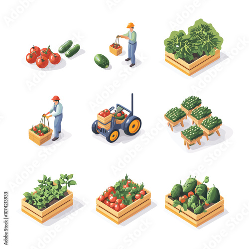 Isometric Farming Scene with Farmers and Vegetable Gardens