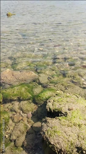 seawater, coral reefs, marine plants, and various sizes of rocks and coral formations along coastal regions.