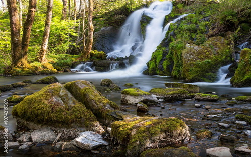 Beautiful Waterfalls, Rocks Bushes Trees, Green Moss Landscape Nature