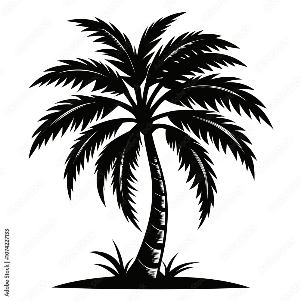 Obraz premium Bold black silhouette of a Tropical palm tree Isolated on a transparent background