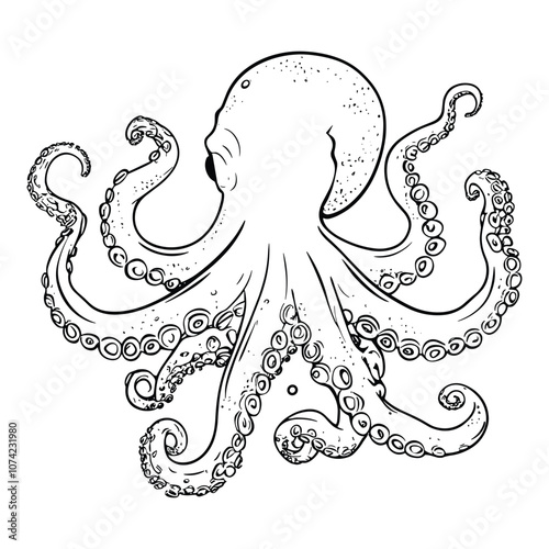 Octopus Illustration in Detailed Line Art