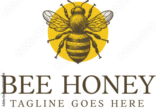 Bee honey label design vector