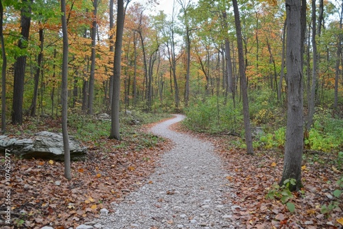 Wallpaper Mural Serene Autumn Forest Trail with Colorful Fall Leaves and Clear Pathway Torontodigital.ca