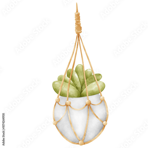 Plant, Hanging plant, hanging house plant pot. Home plant decoration. Garden